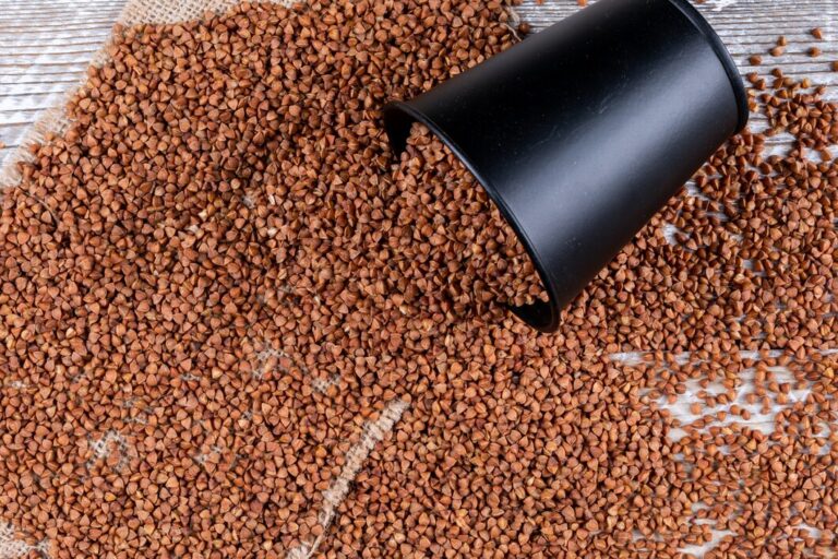 Sturgeon Pellets As Feed
