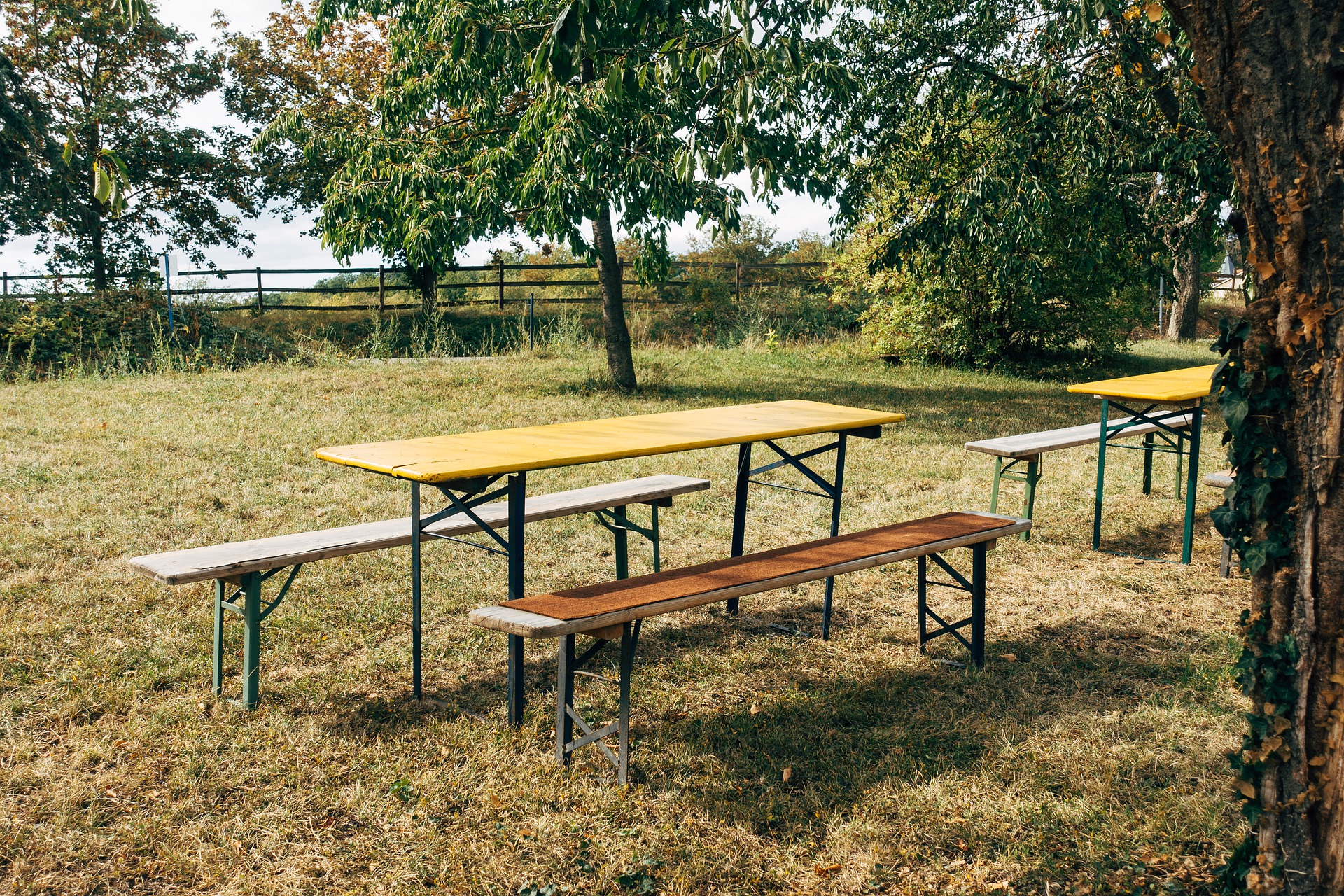 Why You Should Use Recycled Plastic Picnic Benches For Schools