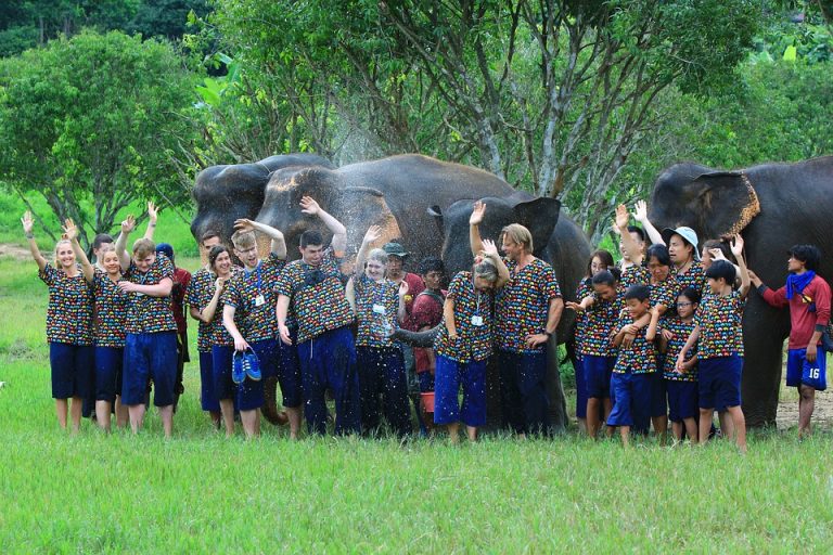 elephants-5940938_960_720