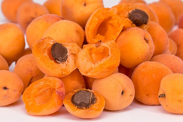 apricots-2994801_960_720