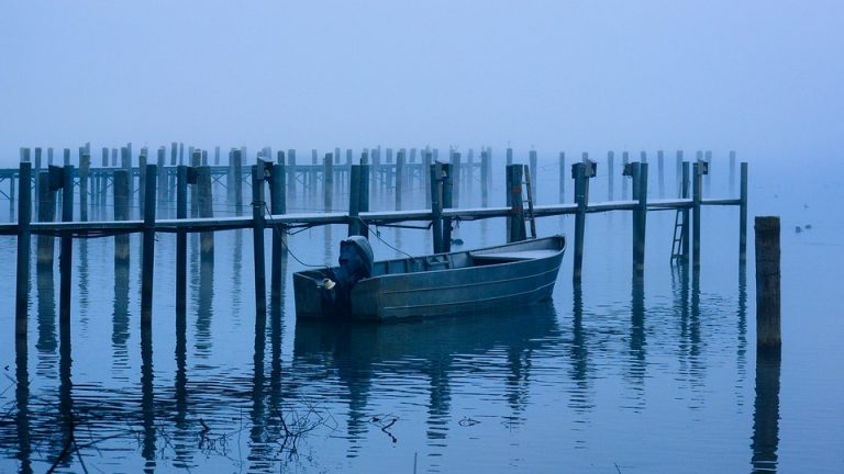 rowing-boat-5844604_960_720