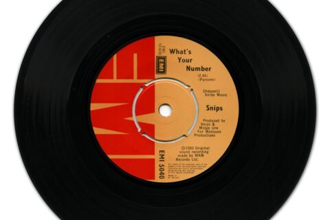 black and blue vinyl record