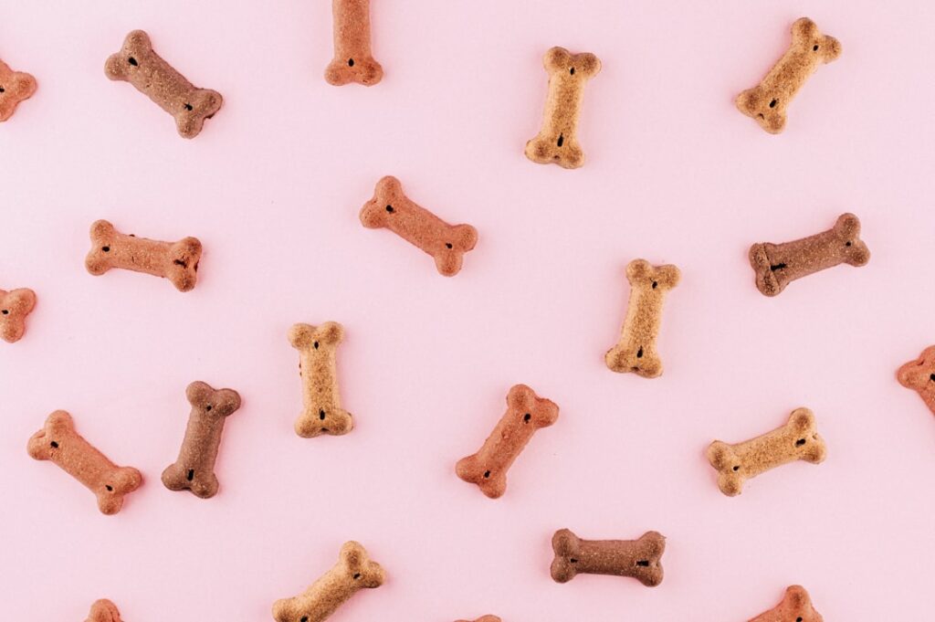 Bone shaped dog treats scattered across a solid light pink background