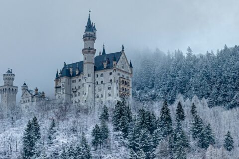 Neuschwanstein Castle on a snowy hillside surrounded by frost-covered pine trees in Germany