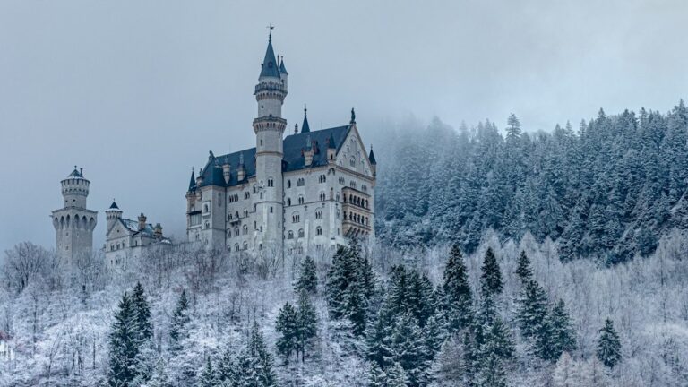 Neuschwanstein Castle on a snowy hillside surrounded by frost-covered pine trees in Germany