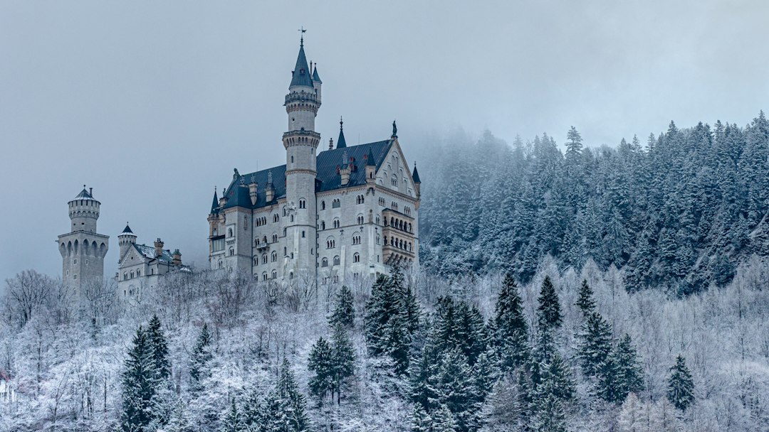 Neuschwanstein Castle on a snowy hillside surrounded by frost-covered pine trees in Germany