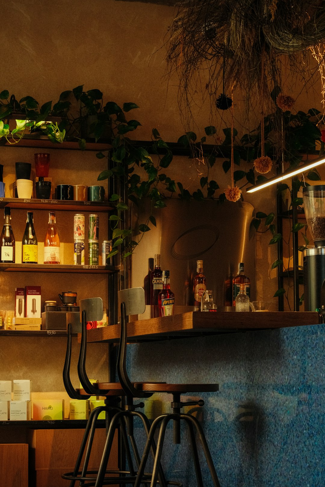 Bar counter with bottles, plants, and stools